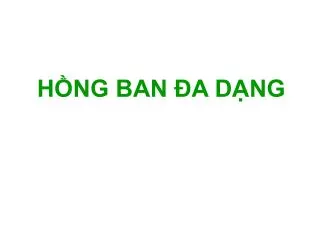 h ng ban a d ng