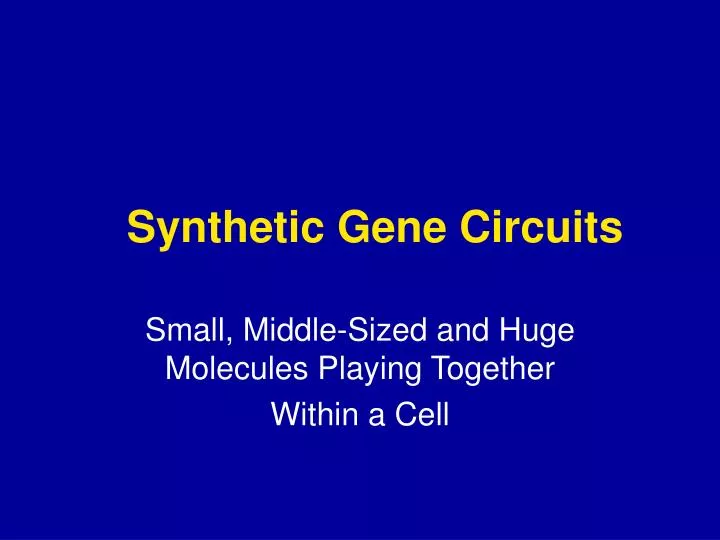 synthetic gene circuits