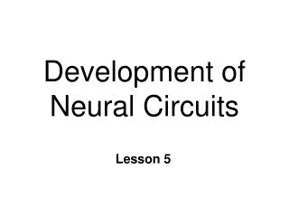 Development of Neural Circuits