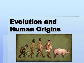 Evolution and Human Origins