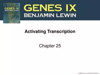 Activating Transcription