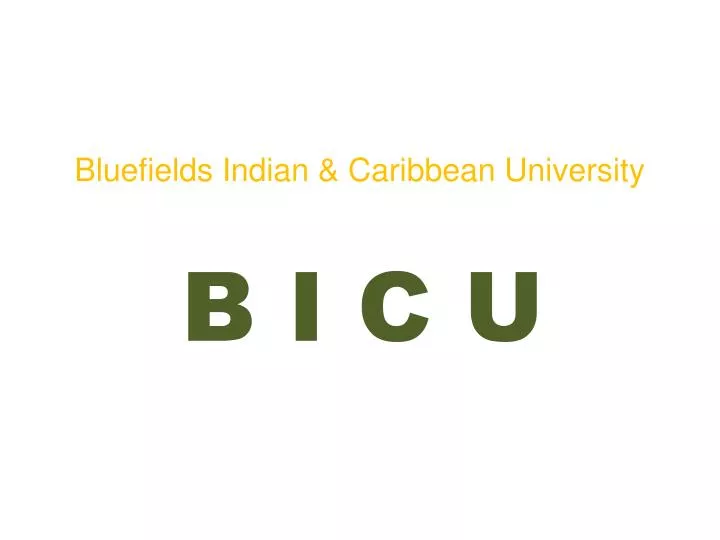 bluefields indian caribbean university