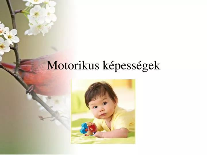 motorikus k pess gek