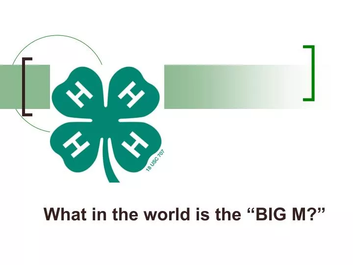 what in the world is the big m
