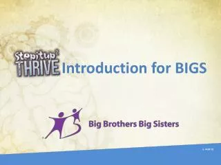 Introduction for BIGS