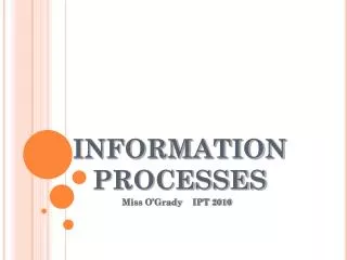 INFORMATION PROCESSES