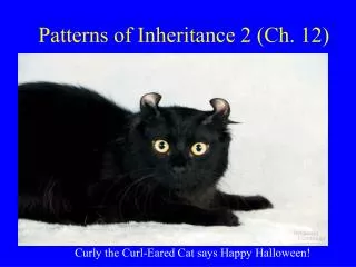 Patterns of Inheritance 2 (Ch. 12)