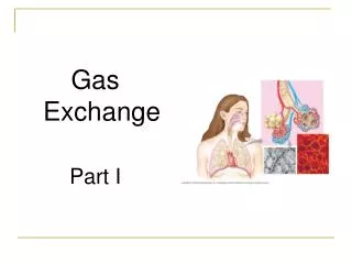 Gas Exchange Part I