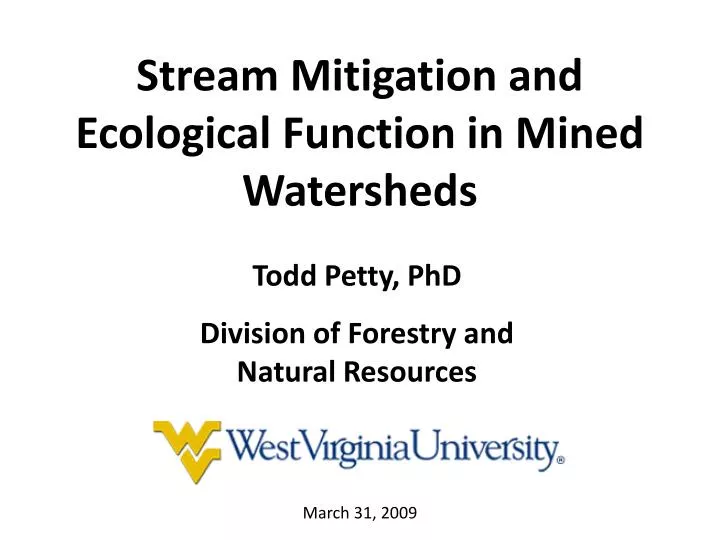 stream mitigation and ecological function in mined watersheds