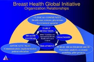 Breast Health Global Initiative Organization Relationships