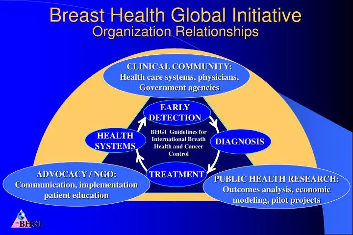 breast health global initiative organization relationships