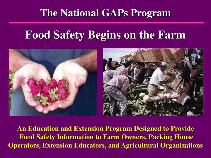 the national gaps program food safety begins on the farm