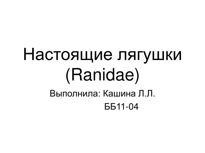 ranidae