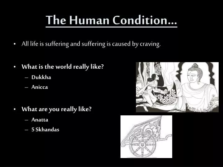 the human condition