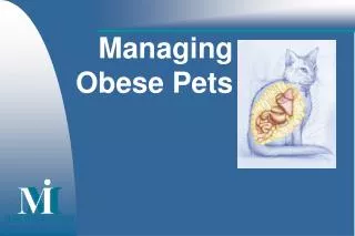 Managing Obese Pets