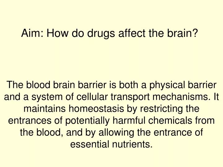 aim how do drugs affect the brain