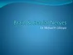 Brain &amp; Cranial Nerves - slide 1