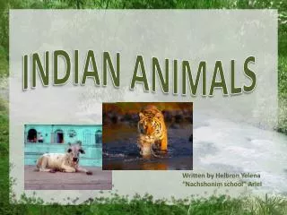 INDIAN ANIMALS