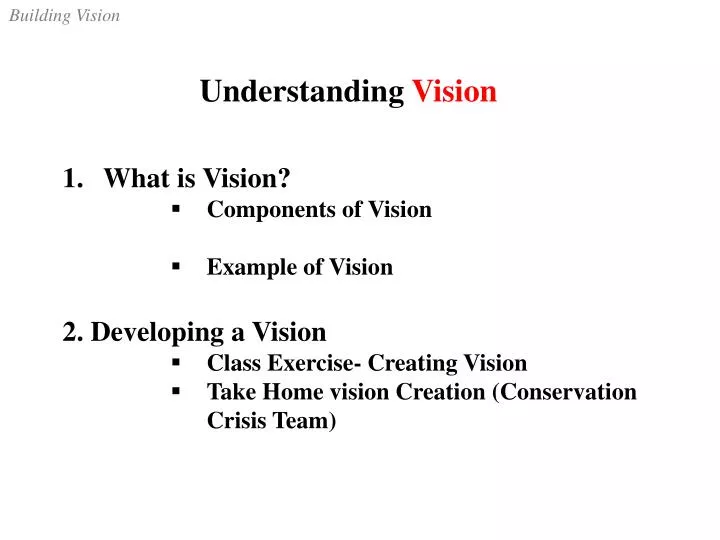 understanding vision