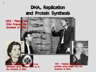 DNA, Replication and Protein Synthesis