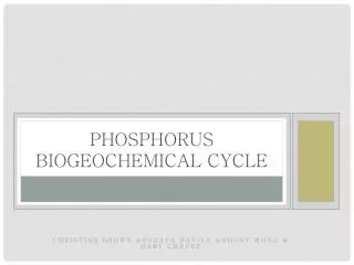 Phosphorus Biogeochemical Cycle