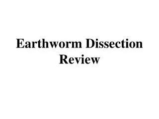 Earthworm Dissection Review