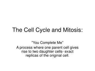 The Cell Cycle and Mitosis: