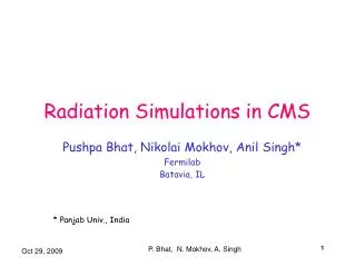 Radiation Simulations in CMS