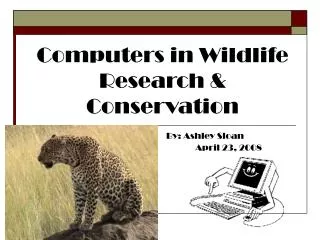 Computers in Wildlife Research &amp; Conservation