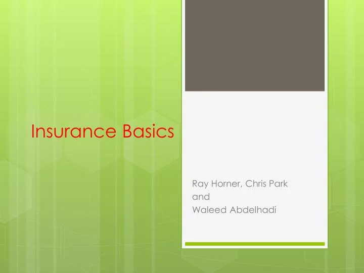 insurance basics