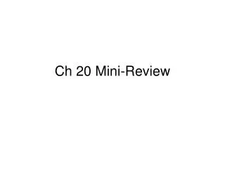 Ch 20 Mini-Review