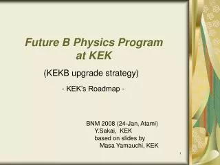 Future B Physics Program at KEK