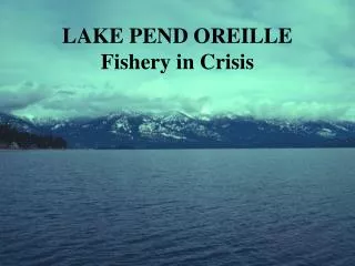 LAKE PEND OREILLE Fishery in Crisis