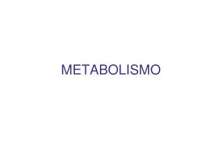 metabolismo
