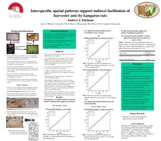 Interspecific spatial patterns support indirect facilitation of harvester ants by kangaroo rats