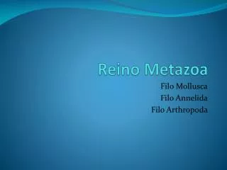 reino metazoa