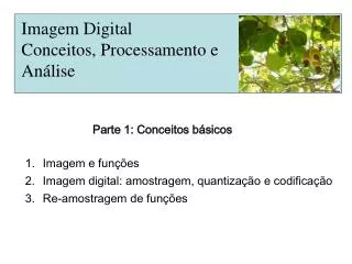 imagem digital conceitos processamento e an lise