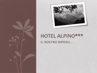 HOTEL ALPINO***
