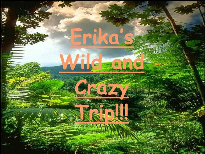 erika s wild and crazy trip