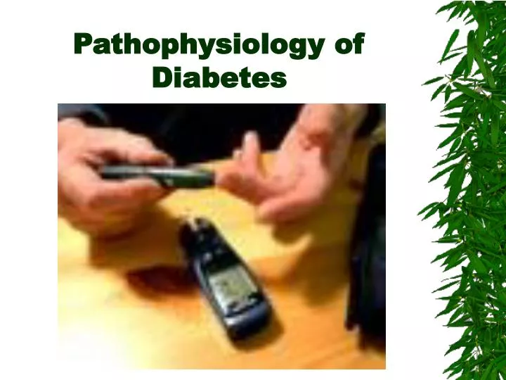 pathophysiology of diabetes