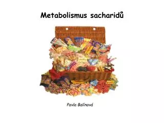 metabolismus sacharid