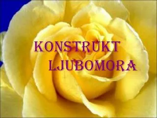 konstrukt ljubomora