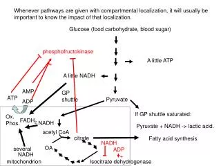 Glucose (food carbohydrate, blood sugar)