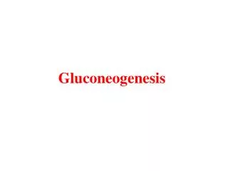 Gluconeogenesis