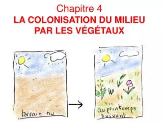 Chapitre 4 LA COLONISATION DU MILIEU PAR LES VÉGÉTAUX