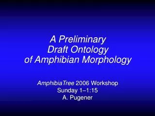 A Preliminary Draft Ontology of Amphibian Morphology