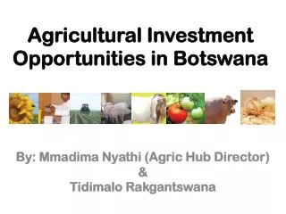 Agricultural Investment Opportunities in Botswana
