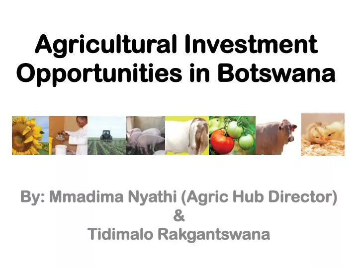 agricultural investment opportunities in botswana