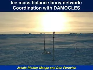 Ice mass balance buoy network: Coordination with DAMOCLES