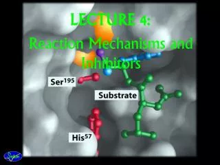 LECTURE 4: Reaction Mechanisms and Inhibitors